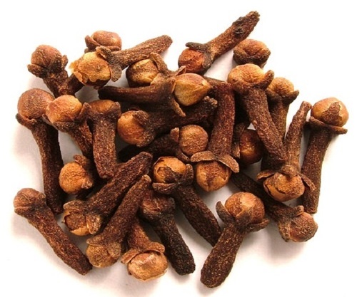 Clove 